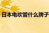 日本电吹管什么牌子好（电吹管什么牌子好）