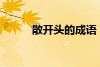 散开头的成语（ran开头的成语）
