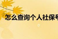 怎么查询个人社保号（怎么查个人社保号）
