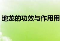 地龙的功效与作用用量（地龙的功效与作用）