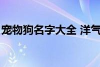 宠物狗名字大全 洋气的男(宠物狗名字大全)