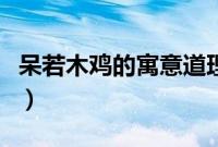 呆若木鸡的寓意道理和启示（呆若木鸡的寓意）