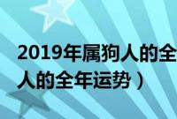 2019年属狗人的全年运势男性（2019年属狗人的全年运势）