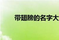 带翅膀的名字大全（带翅膀的名字）
