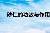 砂仁的功效与作用（佩兰的功效与作用）