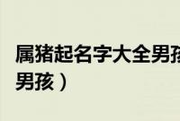 属猪起名字大全男孩虎宝宝（属猪起名字大全男孩）