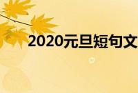 2020元旦短句文案（2020元旦文案）