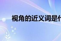 视角的近义词是什么（视角的近义词）