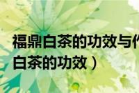 福鼎白茶的功效与作用女人适合喝白茶（福鼎白茶的功效）