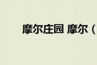 摩尔庄园 摩尔（摩尔庄园摩尔庄园）