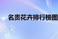 名贵花卉排行榜图片（名贵花卉排行榜）