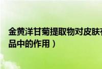 金黄洋甘菊提取物对皮肤有害吗（金黄洋甘菊提取物在化妆品中的作用）