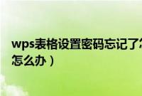 wps表格设置密码忘记了怎么办（wps表格进入密码忘记了怎么办）