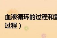 血液循环的过程和重要意义（血液循环的基本过程）