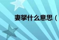 妻拏什么意思（妻とママとボイン）