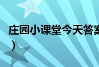 庄园小课堂今天答案小鸡农场（小鸡农场答题）