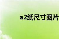a2纸尺寸图片（a2纸尺寸大小）