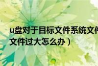 u盘对于目标文件系统文件过大怎么办（对于目标文件系统文件过大怎么办）