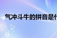 气冲斗牛的拼音是什么（气冲斗牛的拼音）