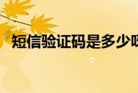 短信验证码是多少呀（短信验证码是多少）