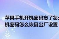 苹果手机开机密码忘了怎么恢复出厂设置（苹果手机忘记开机密码怎么恢复出厂设置）