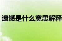 遗憾是什么意思解释一下（遗憾是什么意思）