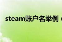 steam账户名举例（steam账户名称大全）