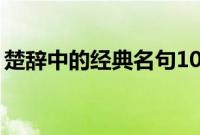 楚辞中的经典名句10句（楚辞中的经典名句）