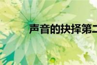 声音的抉择第二季（声音的抉择）