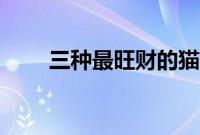 三种最旺财的猫（三花猫的优缺点）