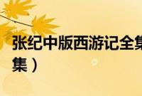 张纪中版西游记全集名称（张纪中版西游记全集）
