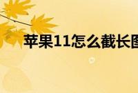 苹果11怎么截长图（苹果11怎么截图）