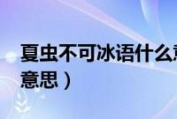 夏虫不可冰语什么意思?（夏虫不可冰语什么意思）