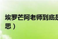 埃罗芒阿老师到底是谁（埃罗芒阿老师是啥意思）