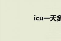 icu一天多少钱（ICU）