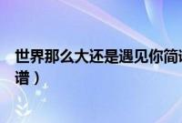 世界那么大还是遇见你简谱双手（世界那么大还是遇见你简谱）