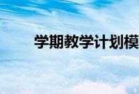 学期教学计划模板（教学计划模板）