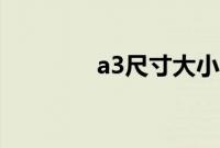 a3尺寸大小（a5尺寸大小）