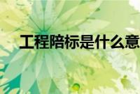 工程陪标是什么意思（陪标是什么意思）