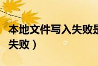 本地文件写入失败是什么意思（本地文件写入失败）