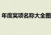 年度奖项名称大全图片（年度奖项名称大全）