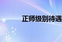 正师级别待遇（正师级的待遇）