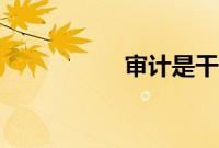 审计是干嘛的（审计）