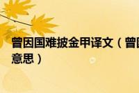 曾因国难披金甲译文（曾因国难披金甲不为家贫卖宝刀什么意思）