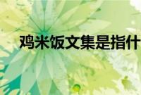 鸡米饭文集是指什么意思（鸡米饭文集）