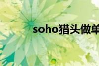 soho猎头做单平台（做单平台）