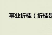 事业折桂（折桂是什么意思 怎么来的）