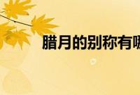 腊月的别称有哪些（腊月的别称）