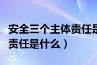 安全三个主体责任是什么内容（安全三个主体责任是什么）