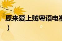原来爱上贼粤语电视下载（原来爱上贼百度云）